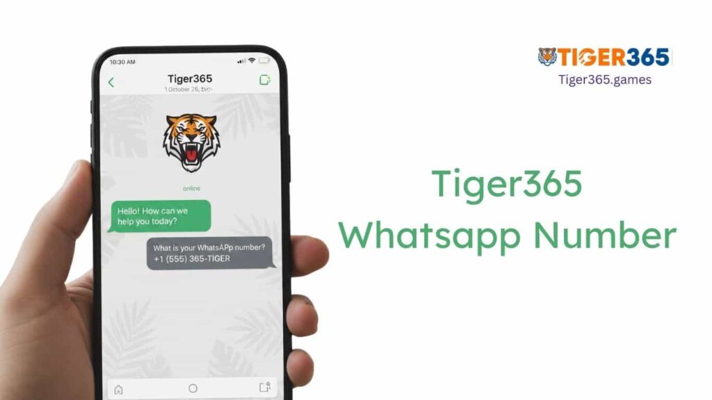 Tiger365 WhatsApp Number India